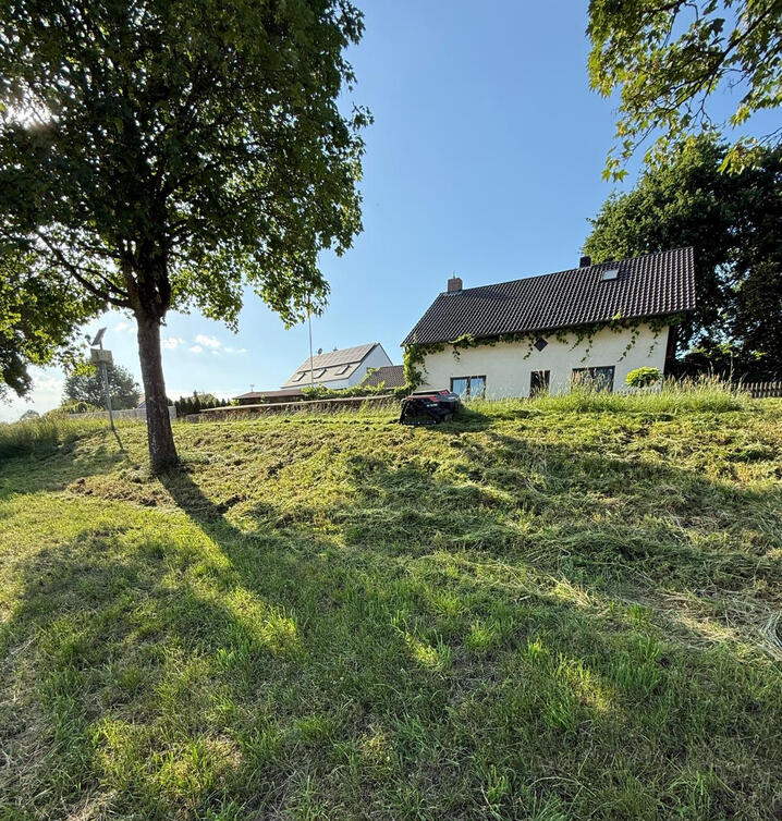Raupe auf Hang